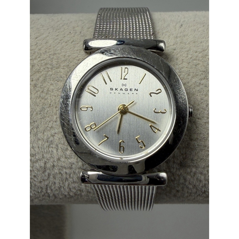 Skagen 107SGSC New Battery Ladies Watch 25MM 7.5" Mesh Band Silver Tone